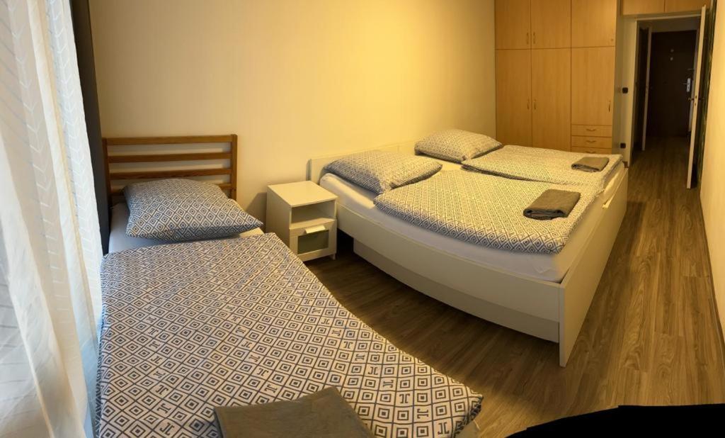 Reichenbach Apartment Bad Reichenhall Bagian luar foto